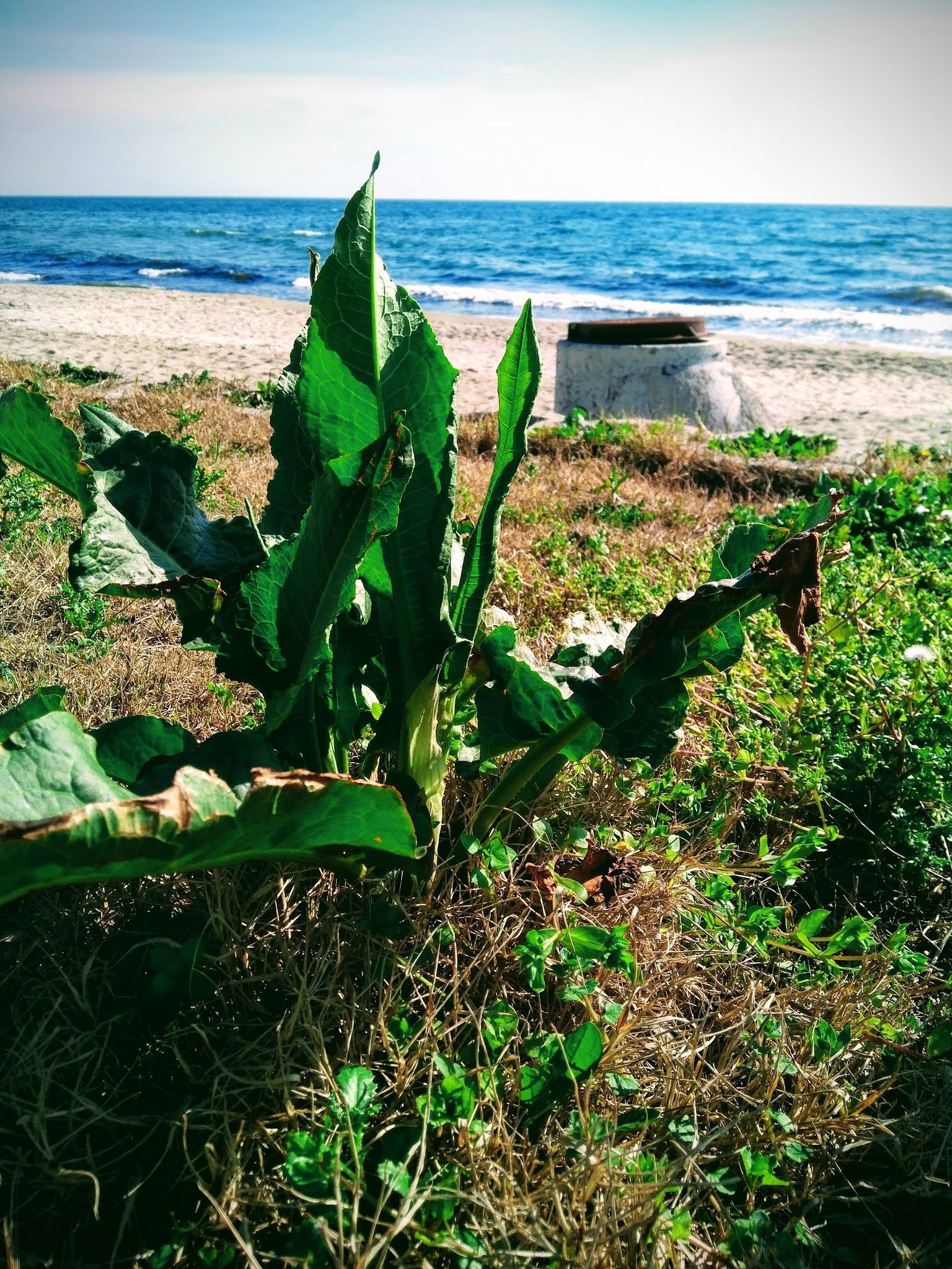 Pier Cafe & Restaurant