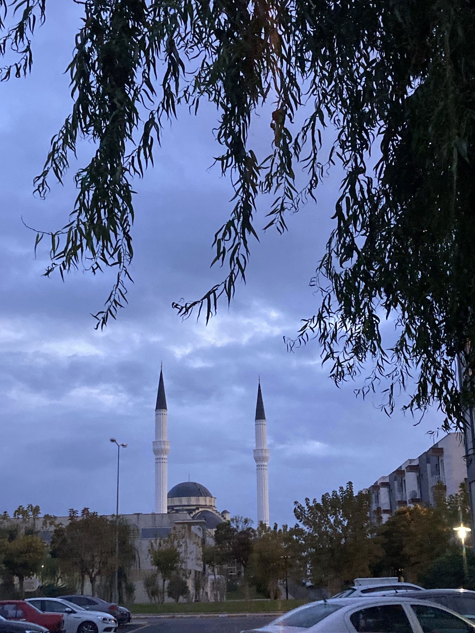 Pier Cafe & Restaurant