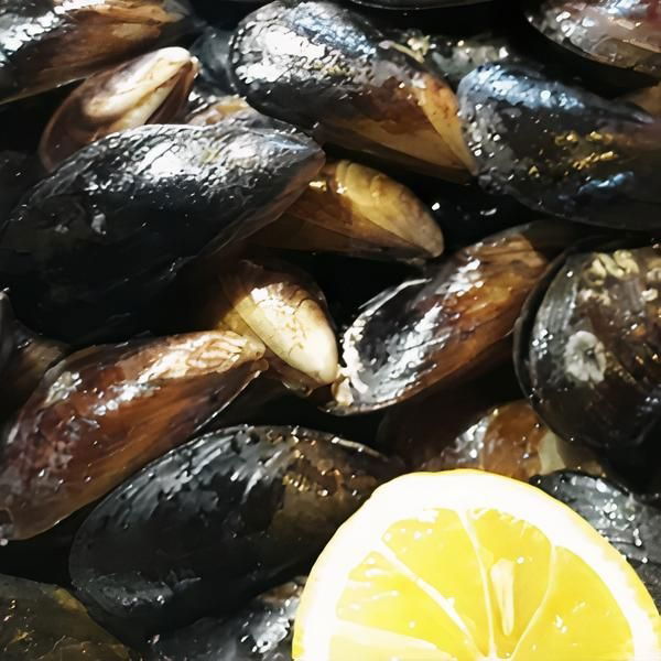 Karışık Midye Dolma (1 kg.)