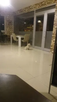 Deep Garden Cafe resimleri