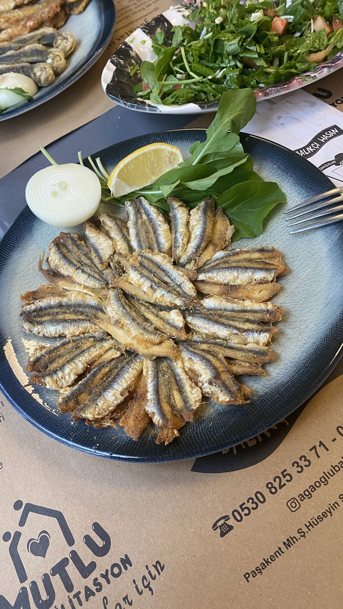 Agaoğlu Balıkçı Hasan