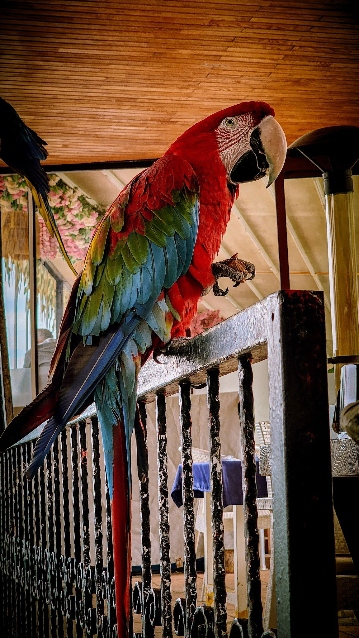 Tahta Masa Restaurant