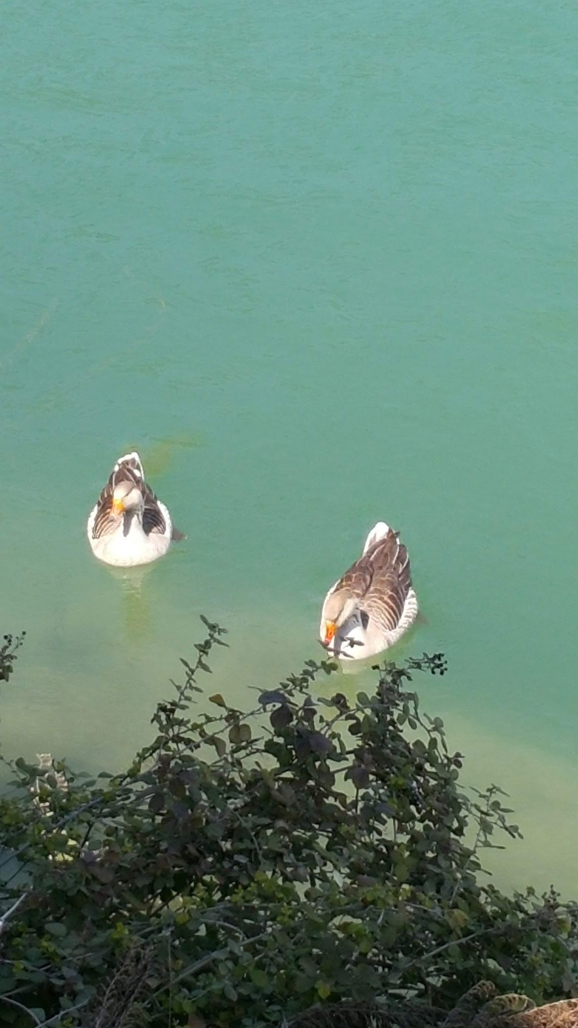 Tahta Masa Restaurant