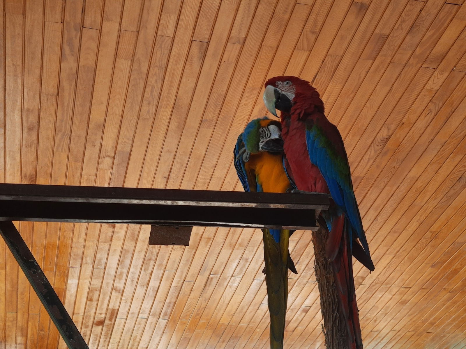 Tahta Masa Restaurant