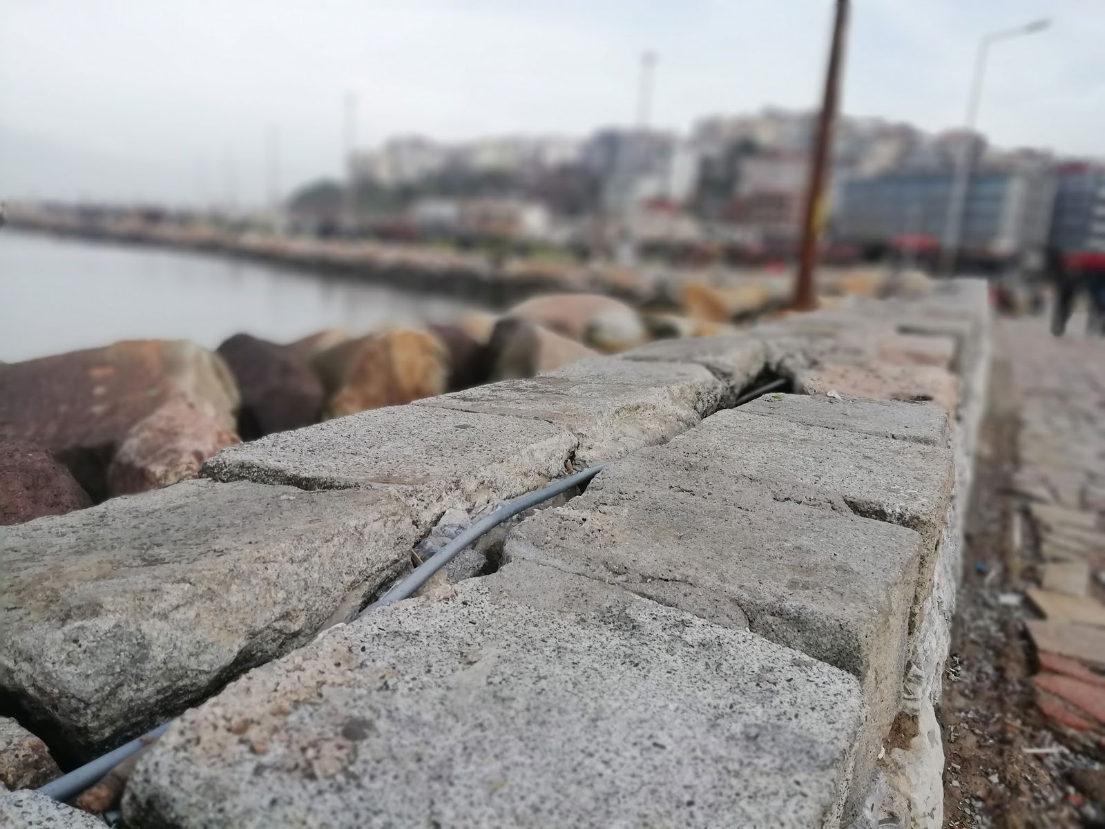 Bandırma Belediyesi Çamlık Cafe