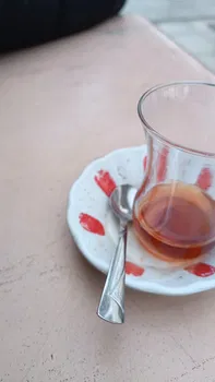 Bandırma Belediyesi Çamlık Cafe resimleri