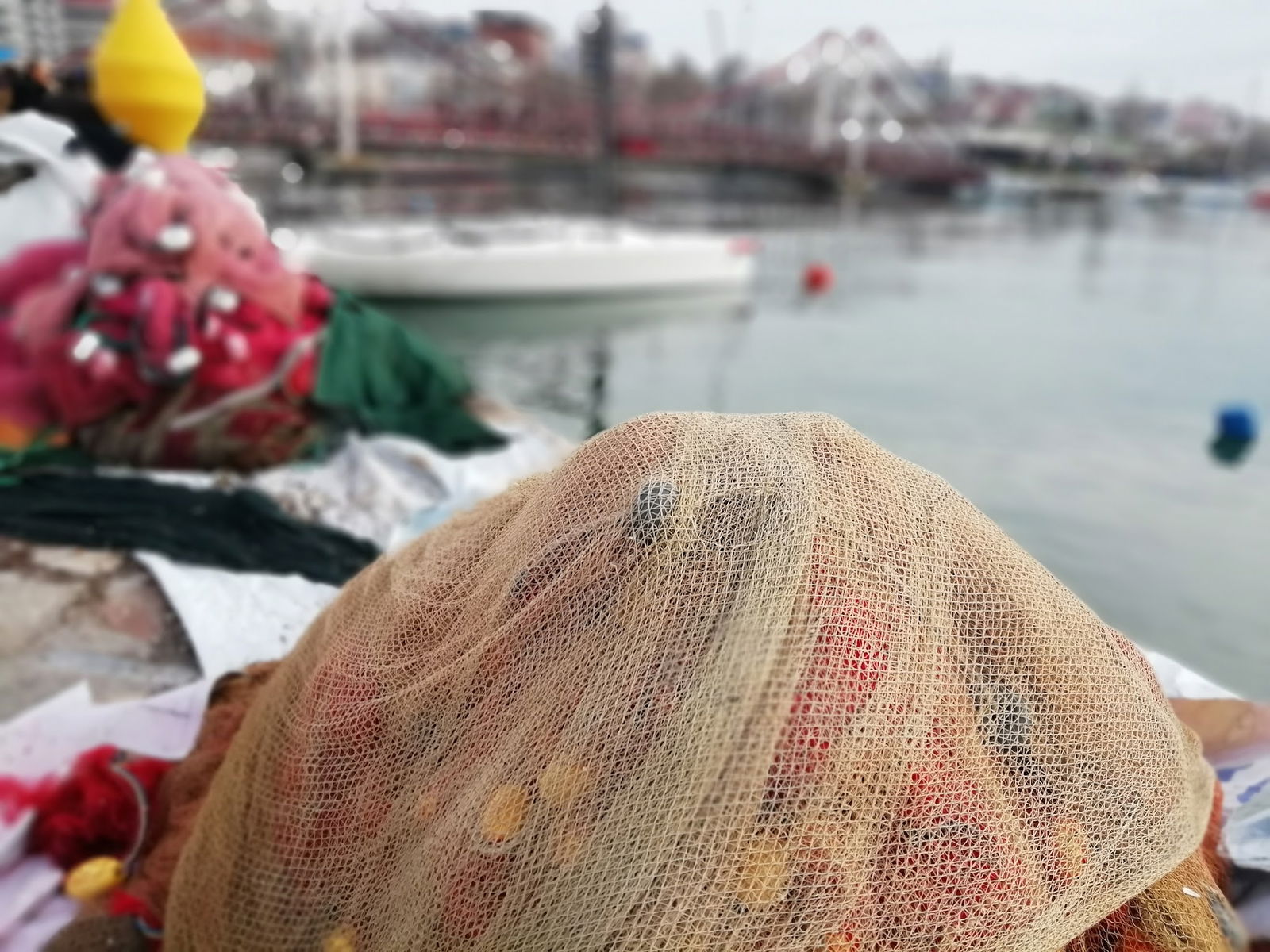 Bandırma Belediyesi Çamlık Cafe