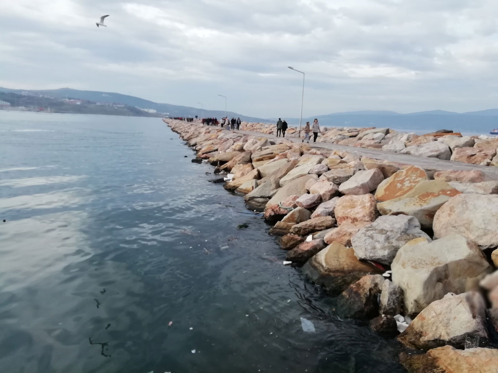 Bandırma Belediyesi Çamlık Cafe