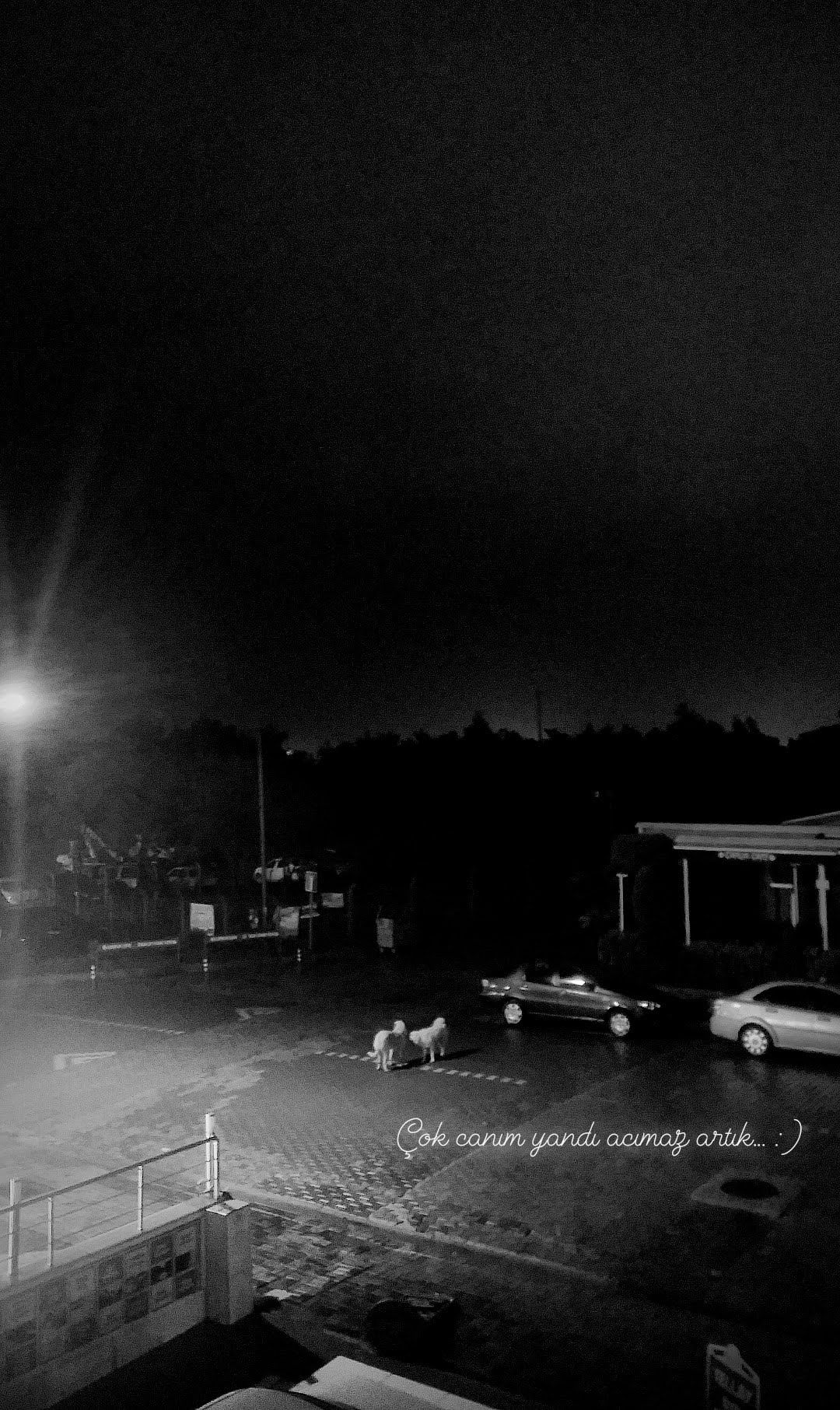 Bandırma Belediyesi Çamlık Cafe