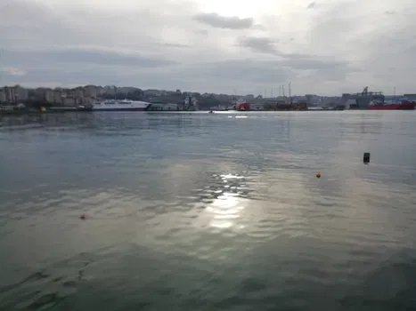 Bandırma Belediyesi Çamlık Cafe resimleri