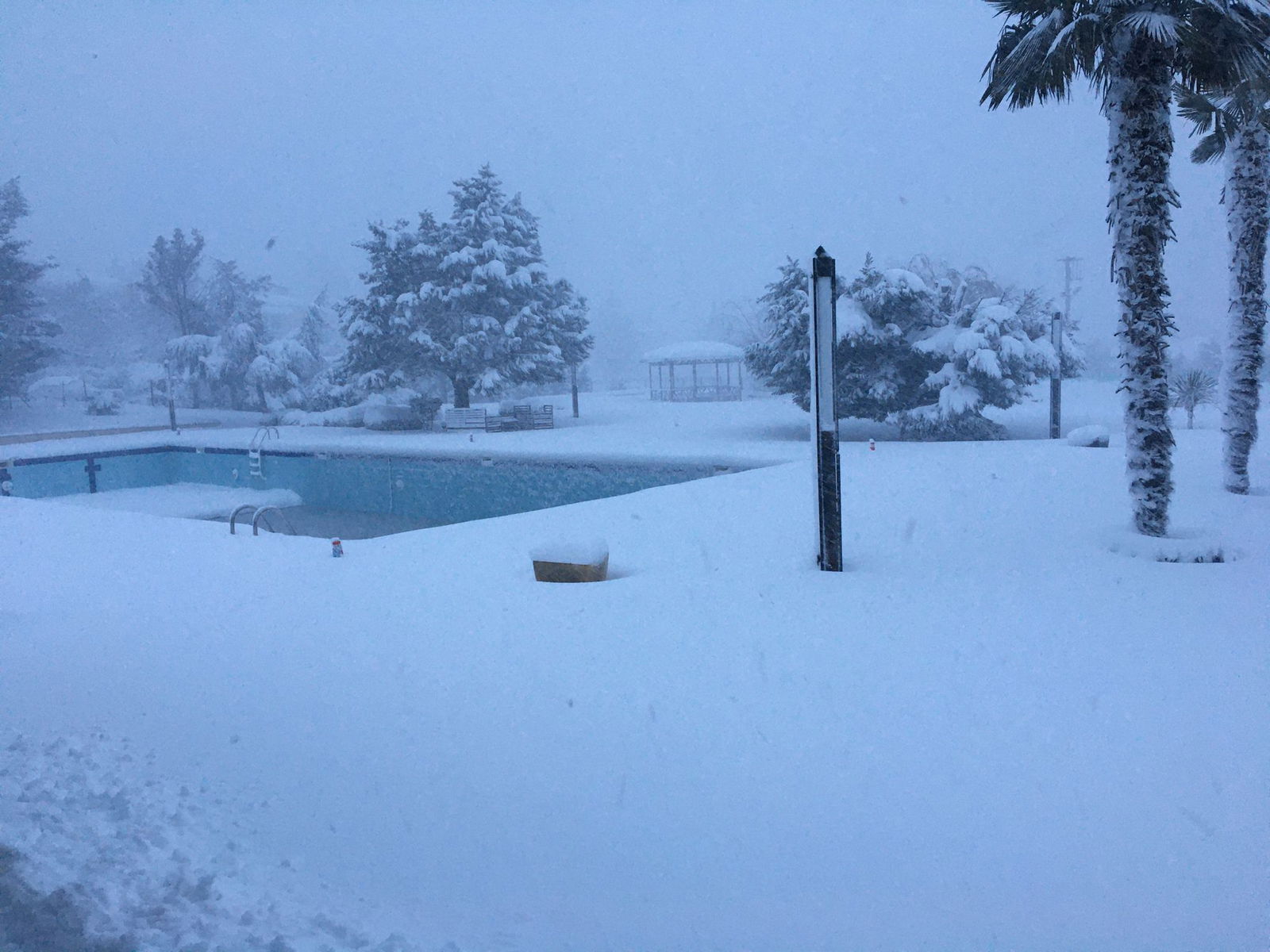 Bandırma Belediyesi Çamlık Cafe