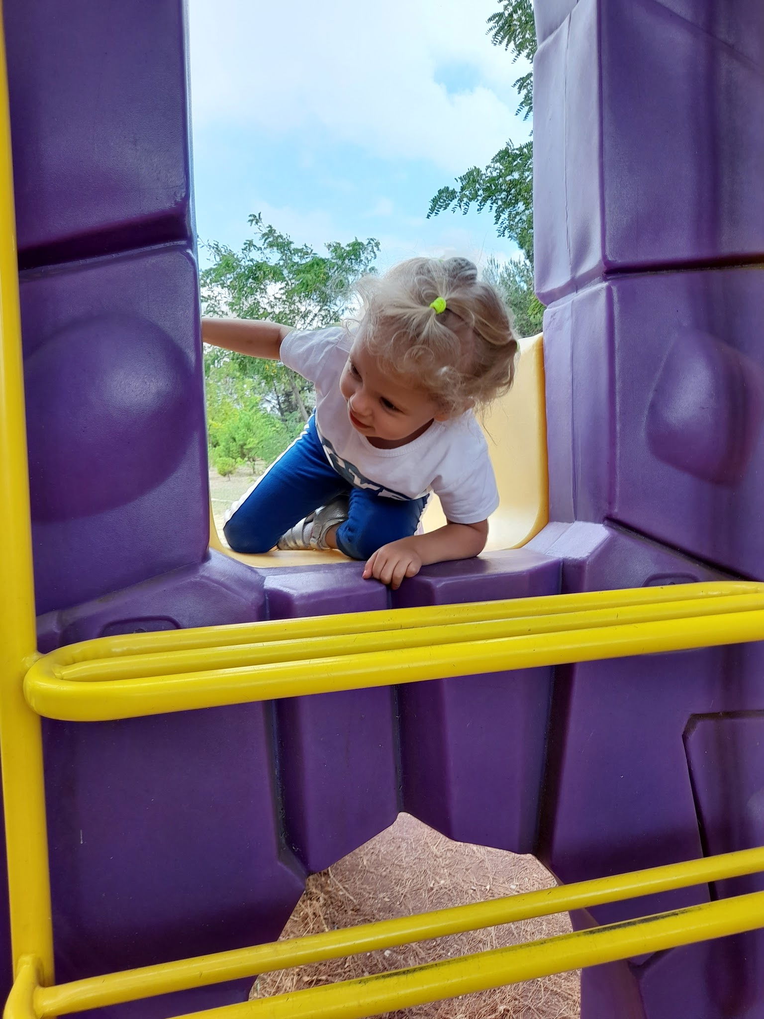 Bandırma Belediyesi Çamlık Cafe