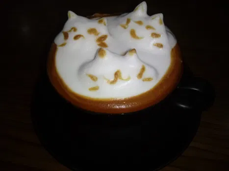 Mondo Restaurant resimleri