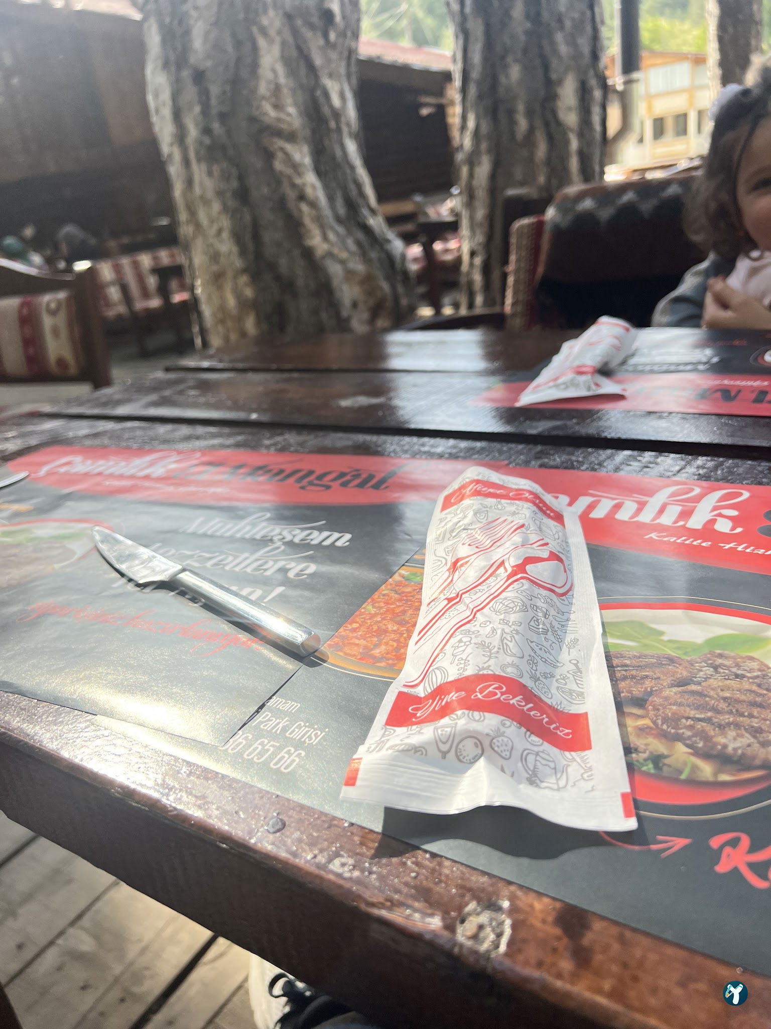 Çamlık Et Mangal