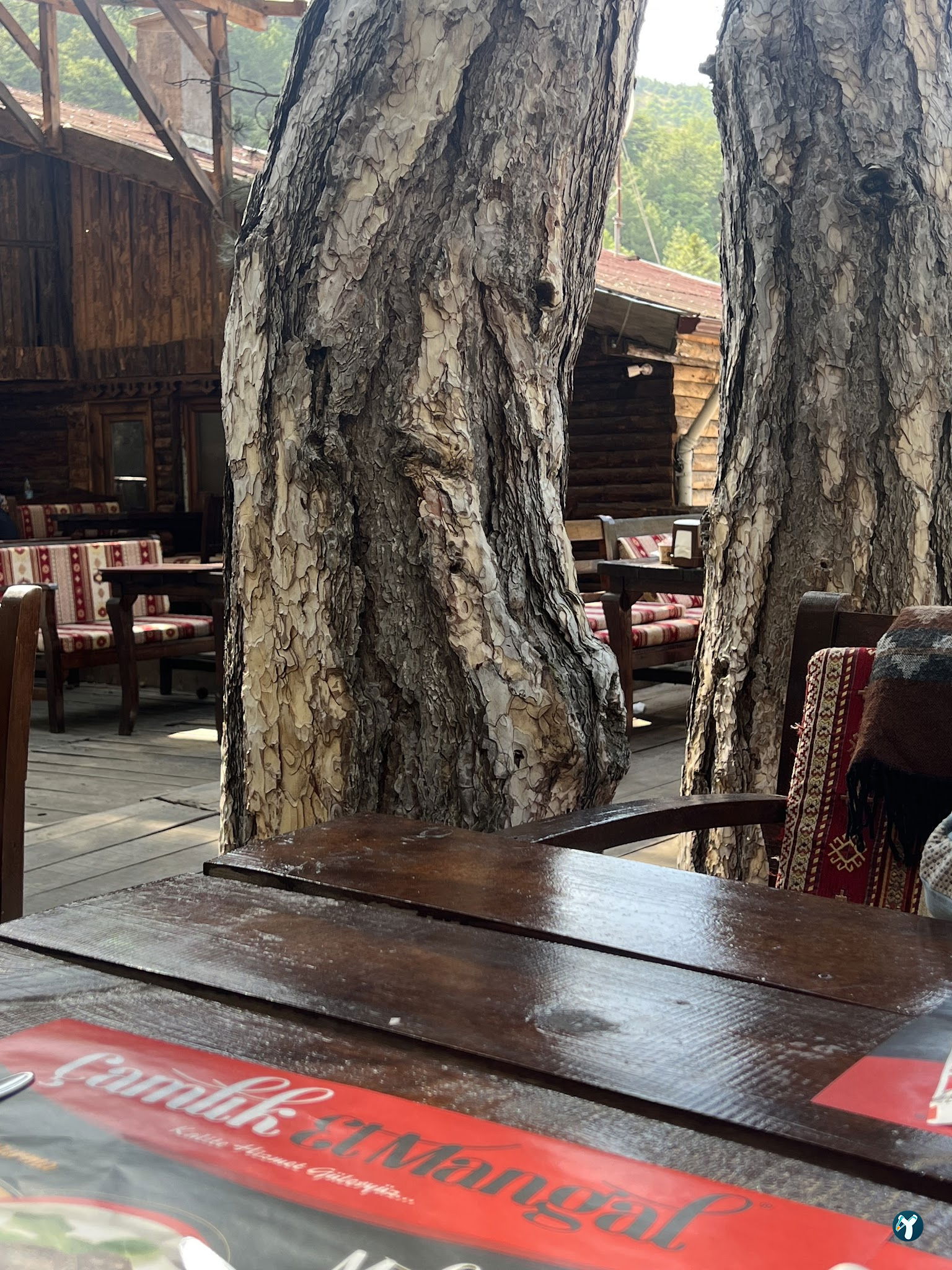 Çamlık Et Mangal