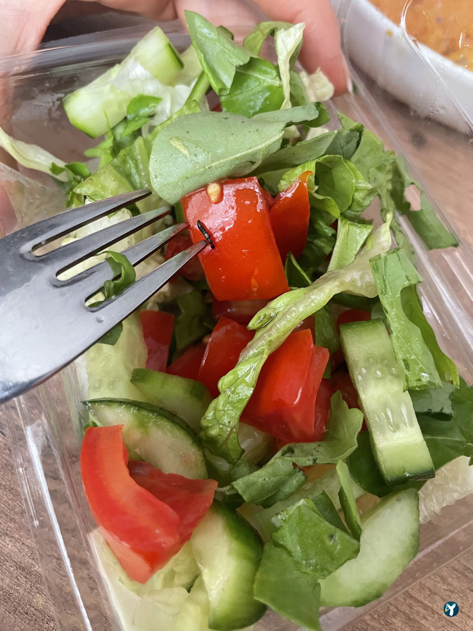 Ataşehir Pide Kebap Ve Çorba
