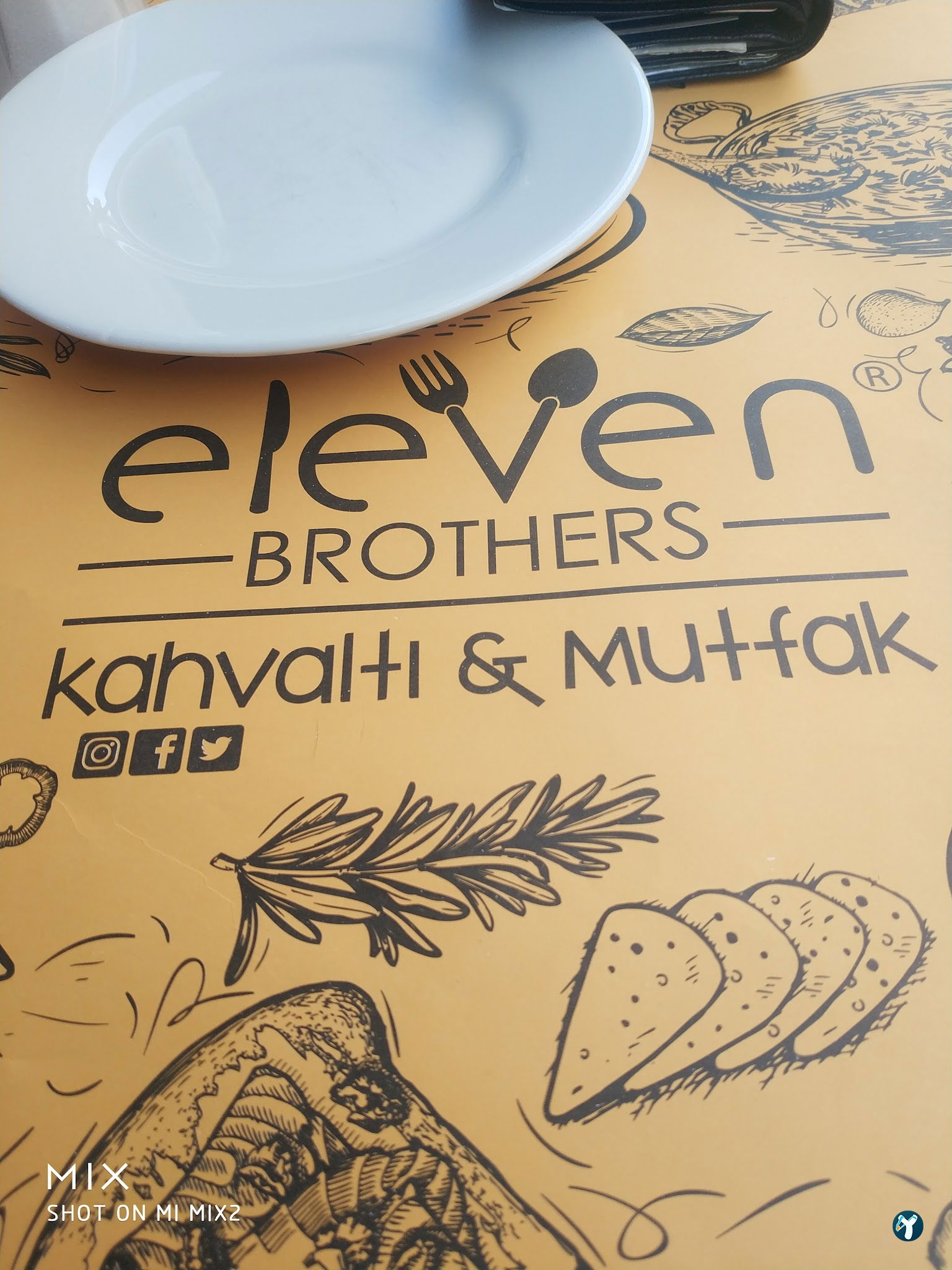 Eleven Brothers