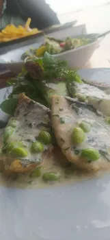 Pamira Balık resimleri