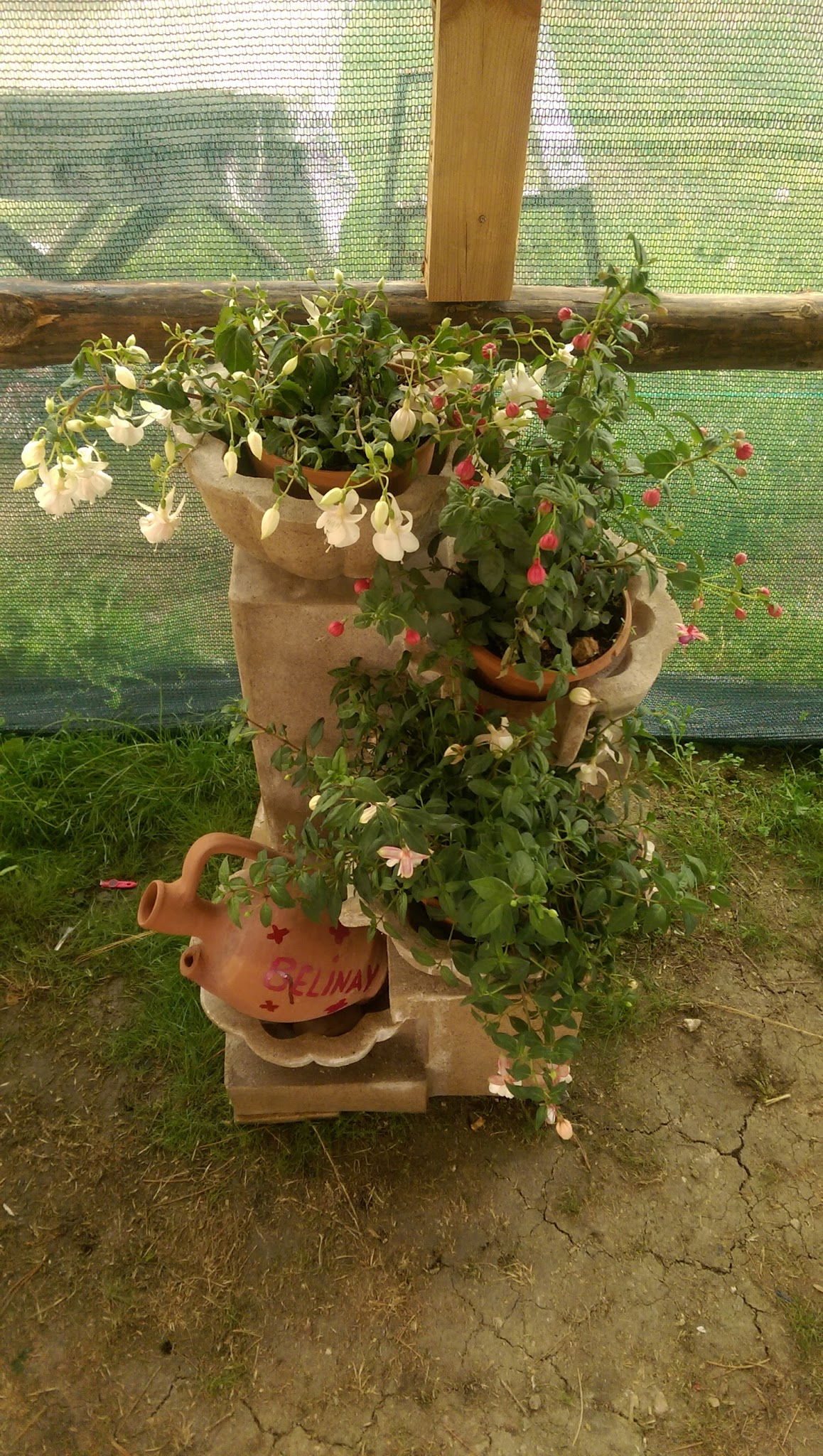 Belinay Gozleme Kahvalti Evi