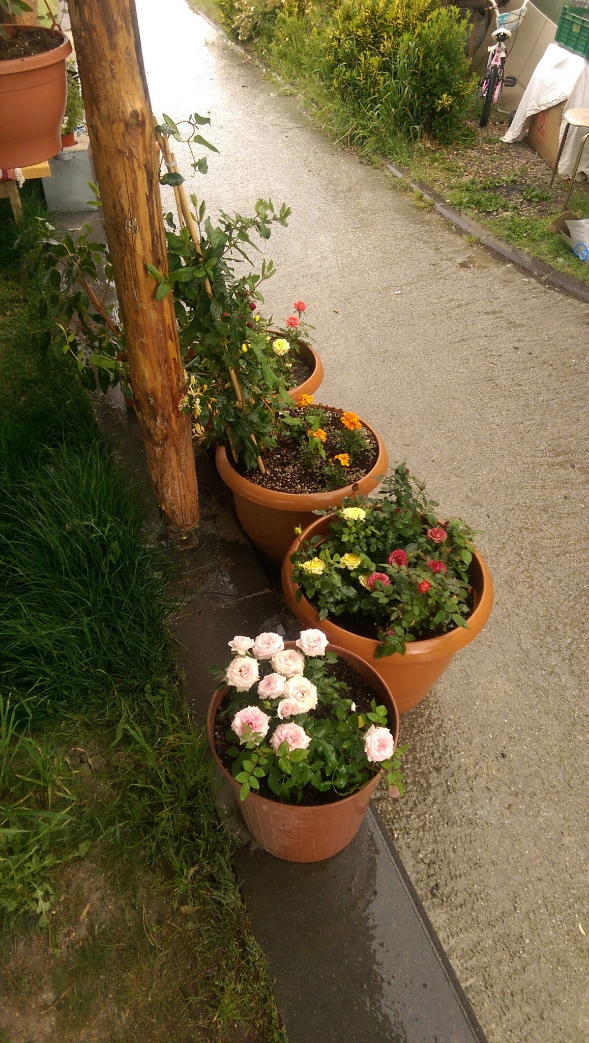 Belinay Gozleme Kahvalti Evi