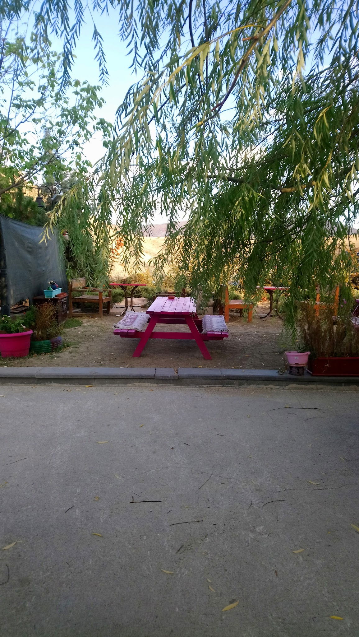 Belinay Gozleme Kahvalti Evi