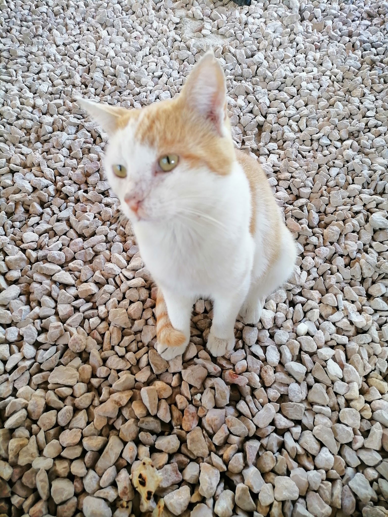 Belinay Gozleme Kahvalti Evi