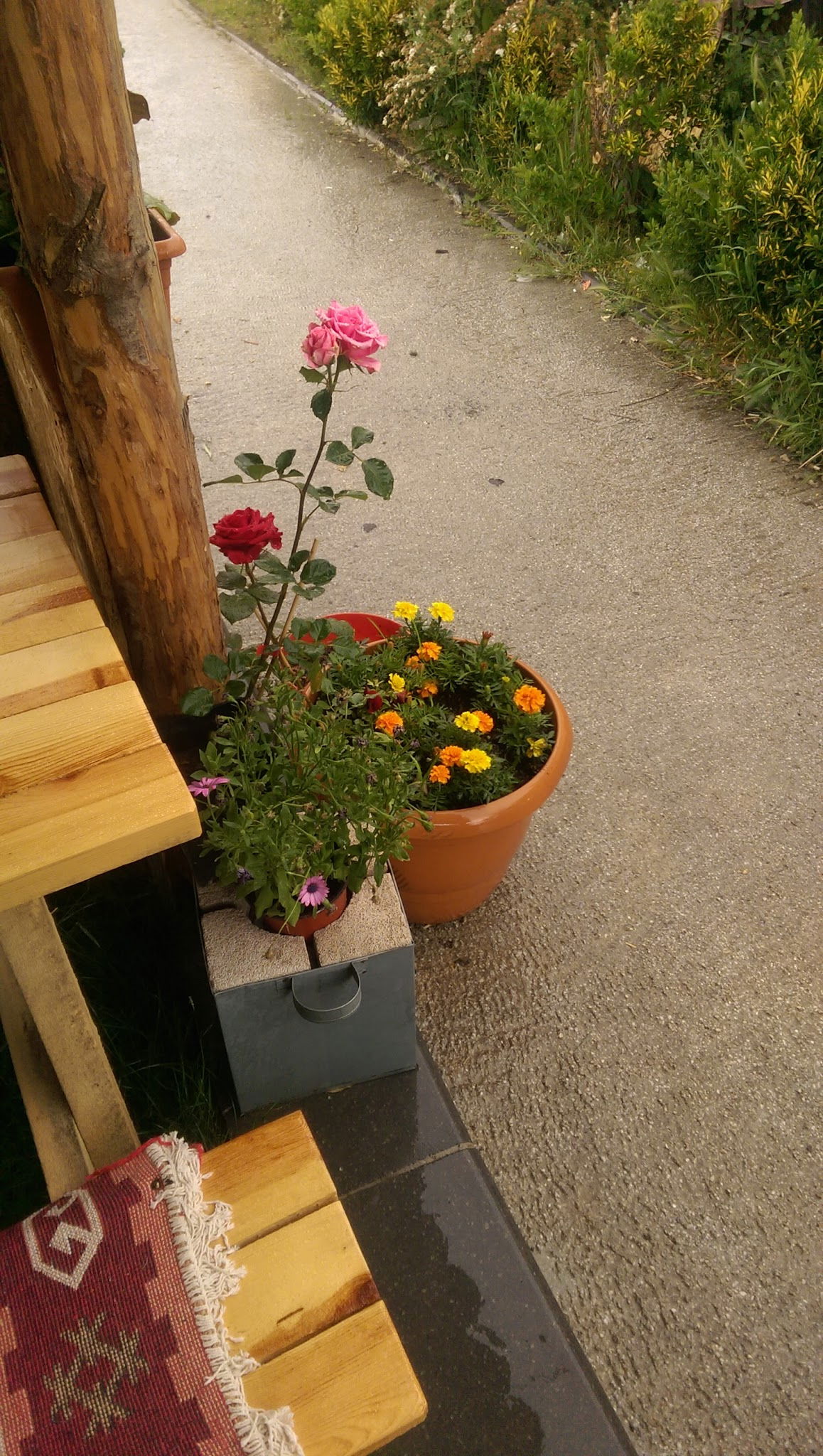 Belinay Gozleme Kahvalti Evi