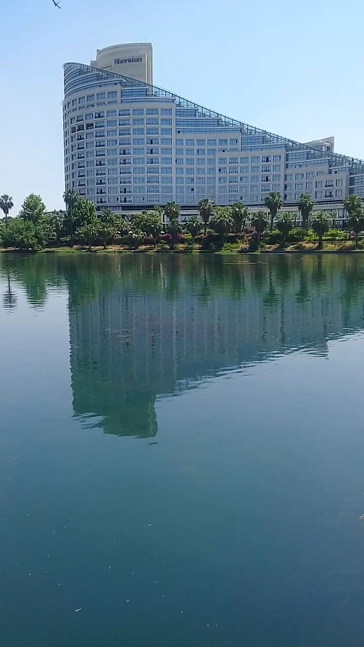 Emirgan Çay Bahçesi