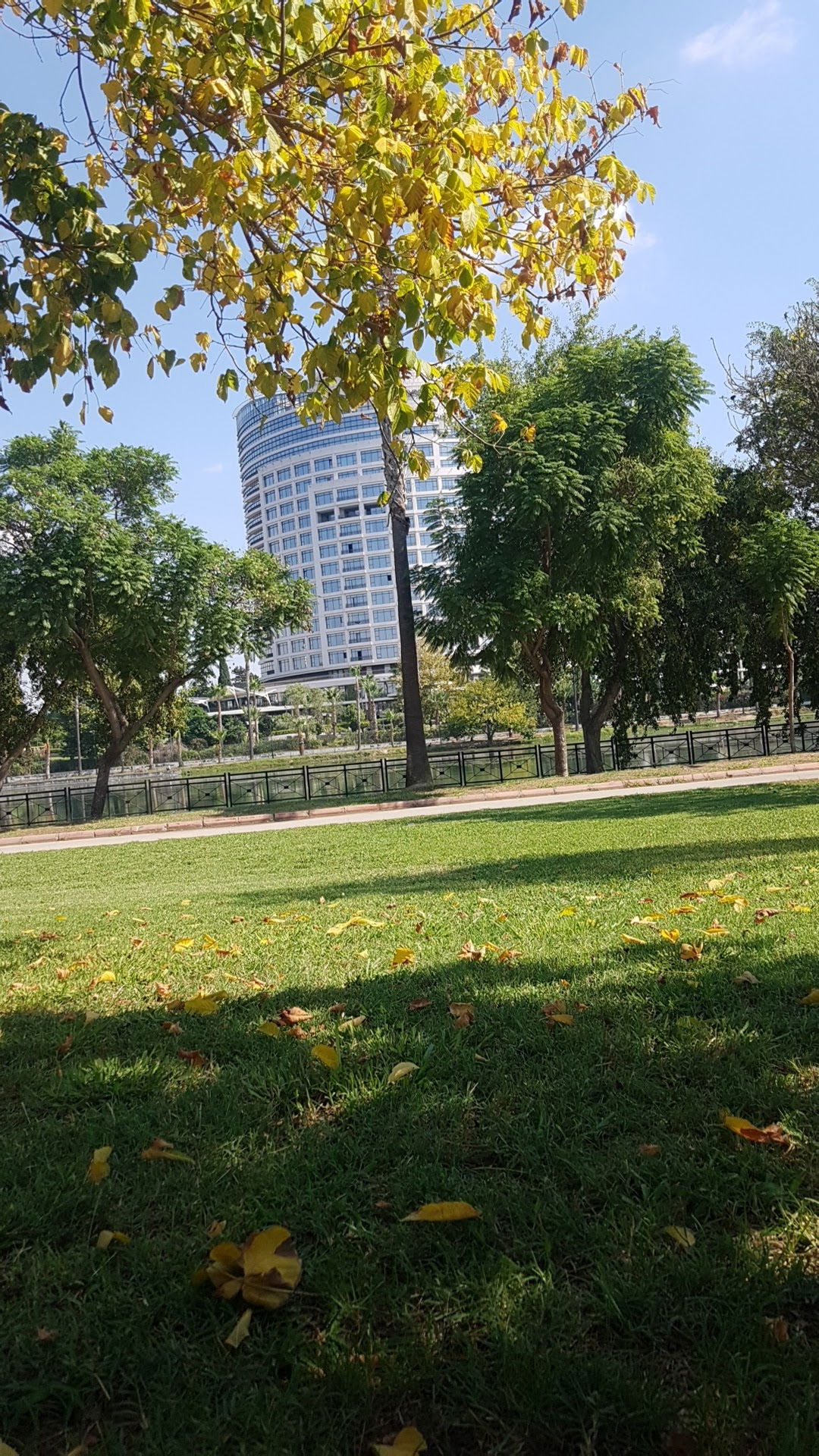 Emirgan Çay Bahçesi