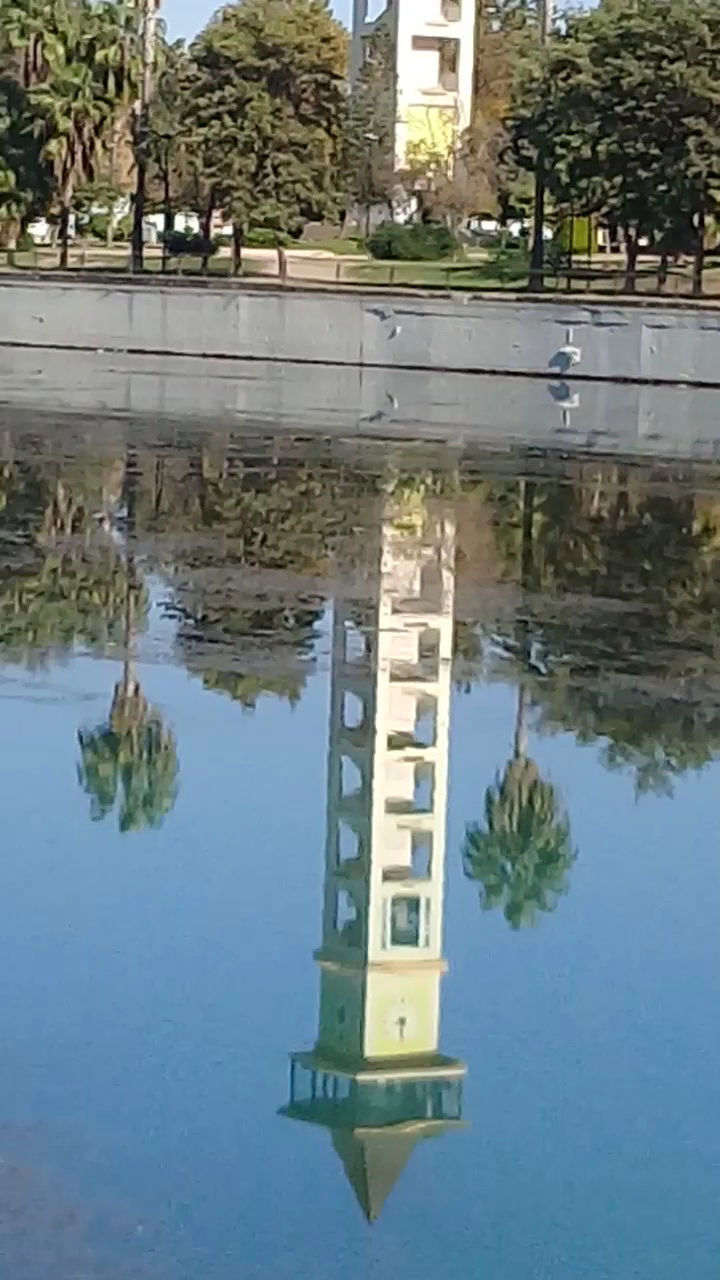 Emirgan Çay Bahçesi