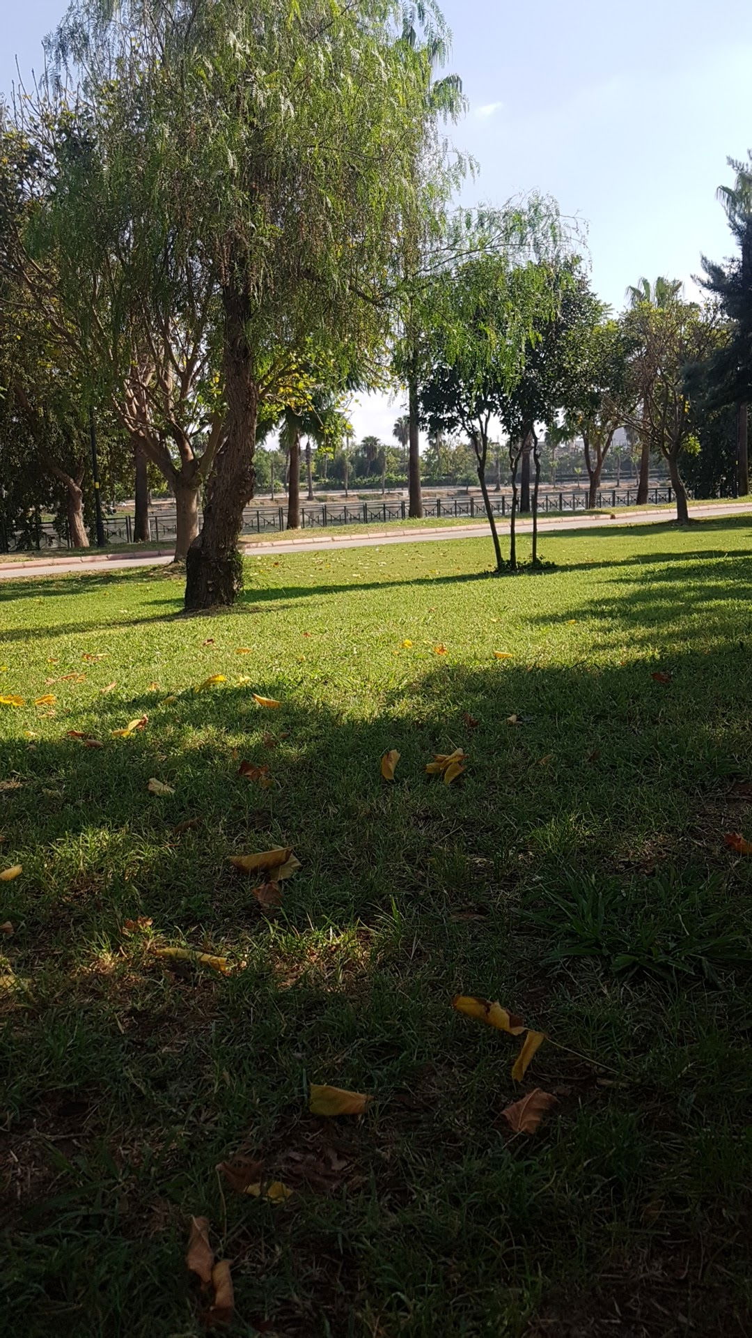 Emirgan Çay Bahçesi