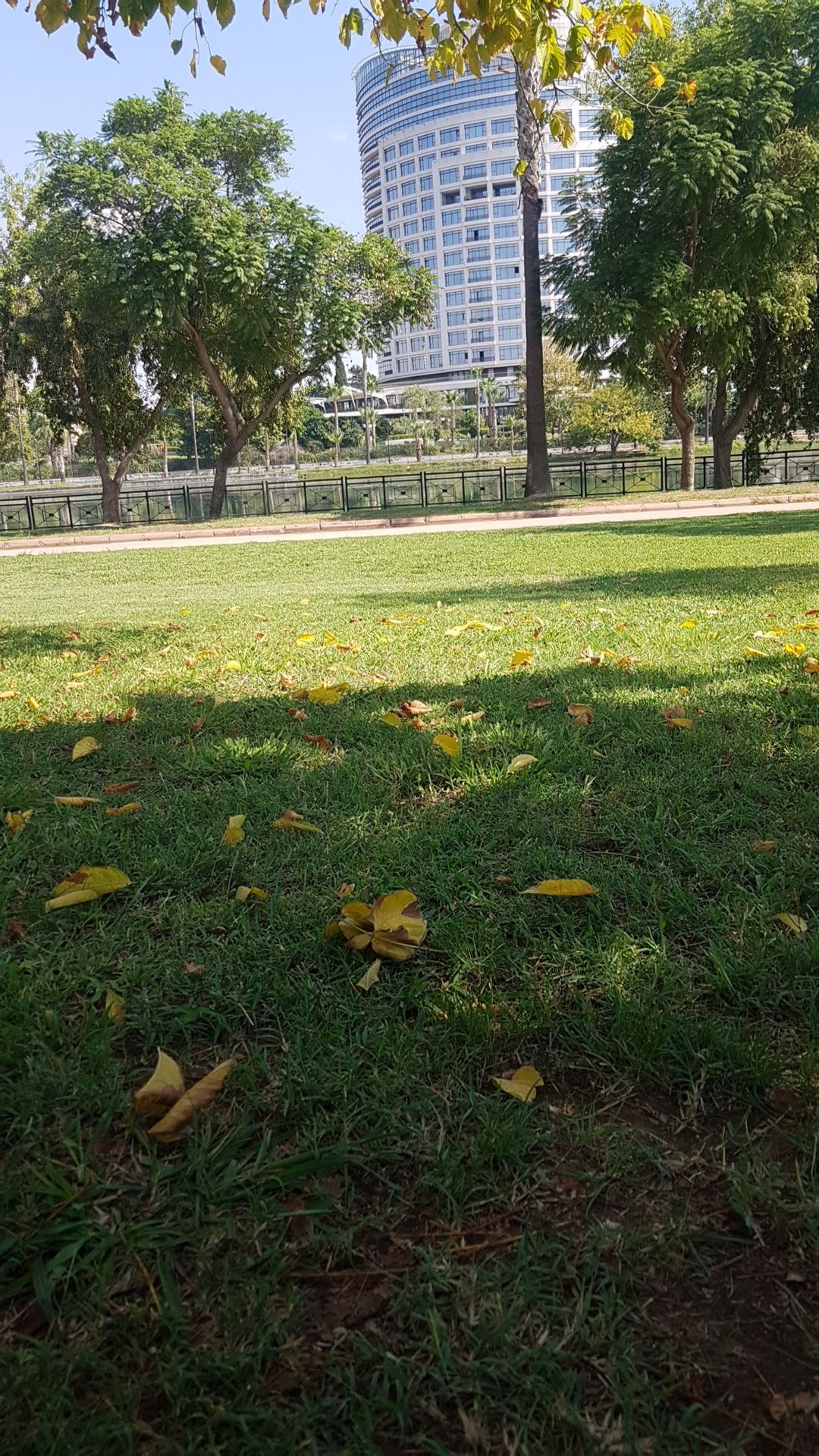 Emirgan Çay Bahçesi