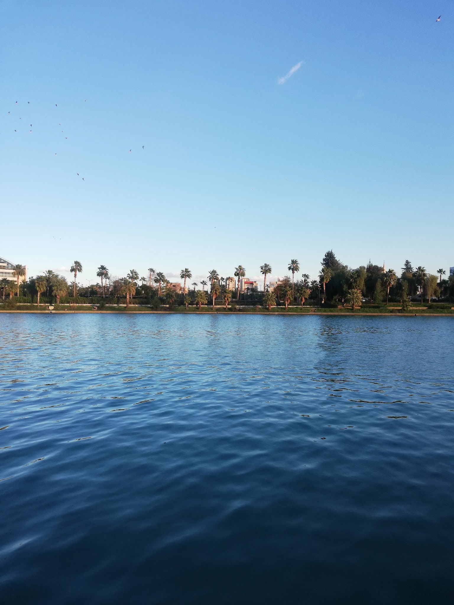 Emirgan Çay Bahçesi