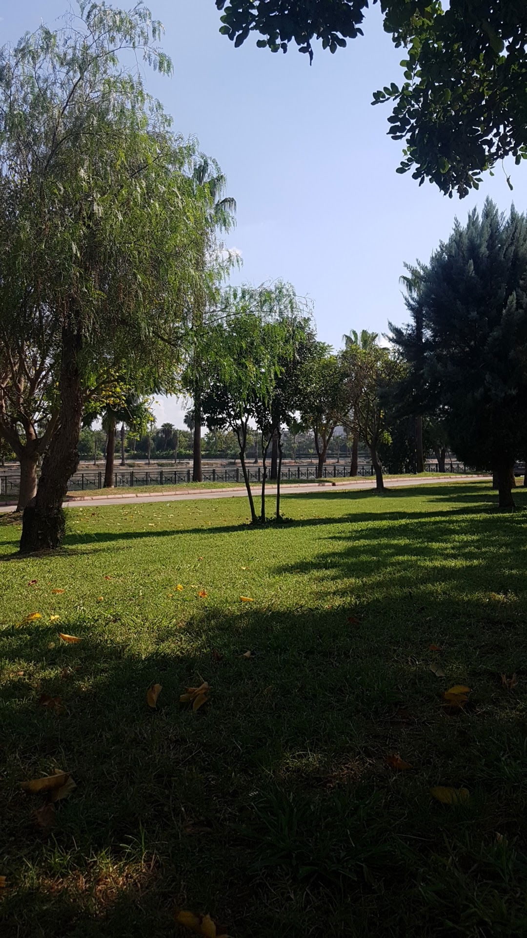 Emirgan Çay Bahçesi