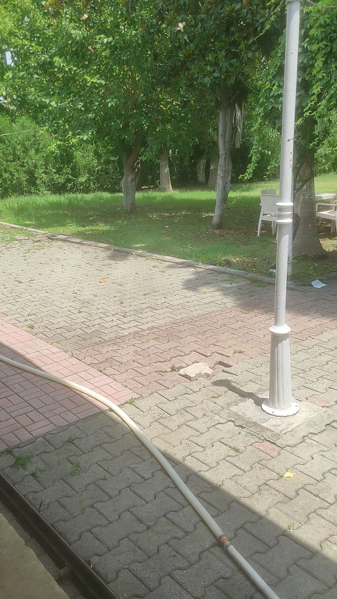 Emirgan Çay Bahçesi