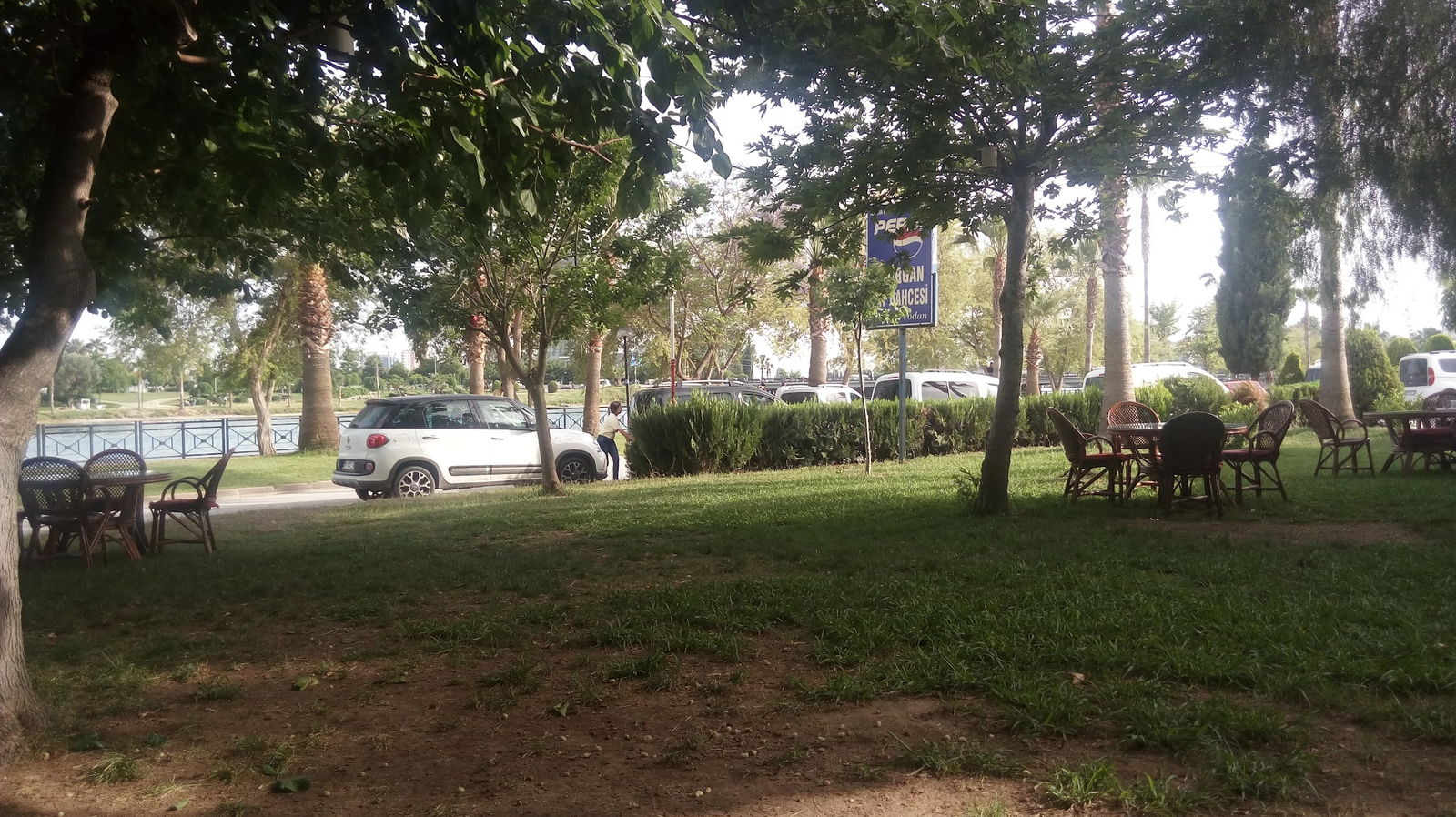 Emirgan Çay Bahçesi