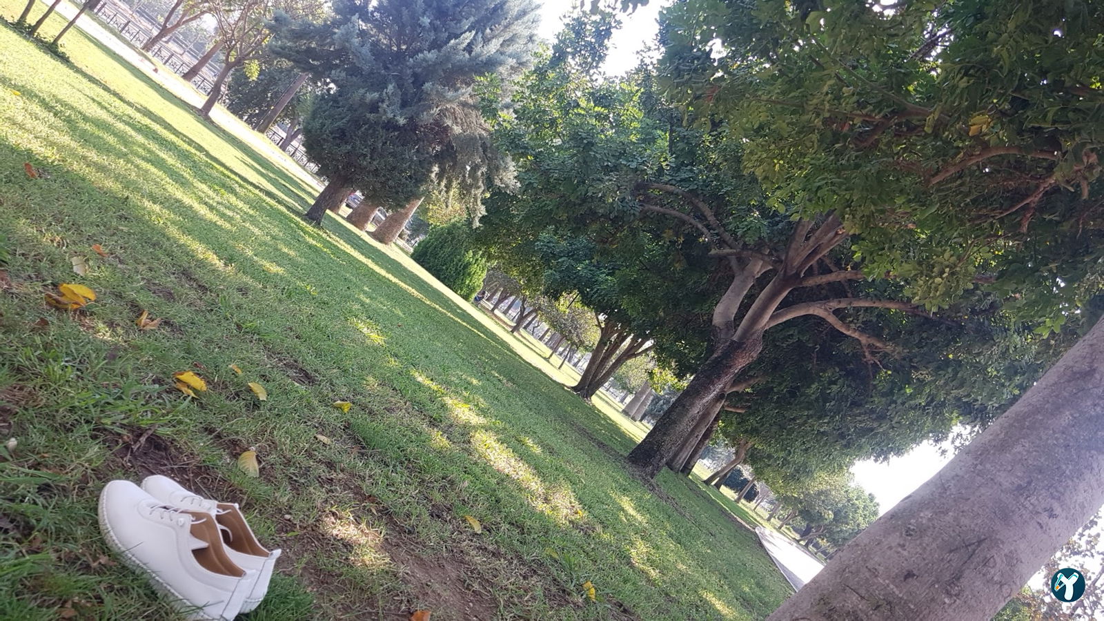 Emirgan Çay Bahçesi