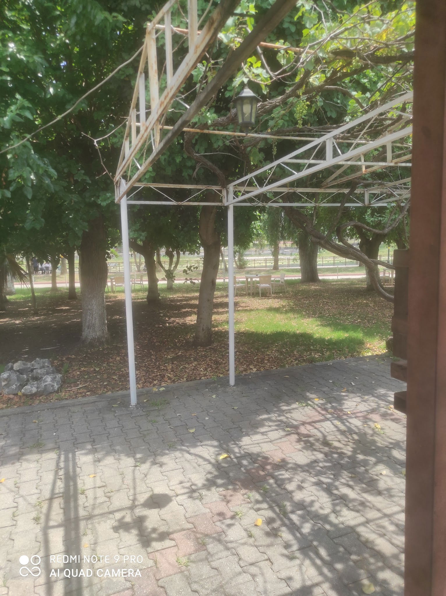 Emirgan Çay Bahçesi