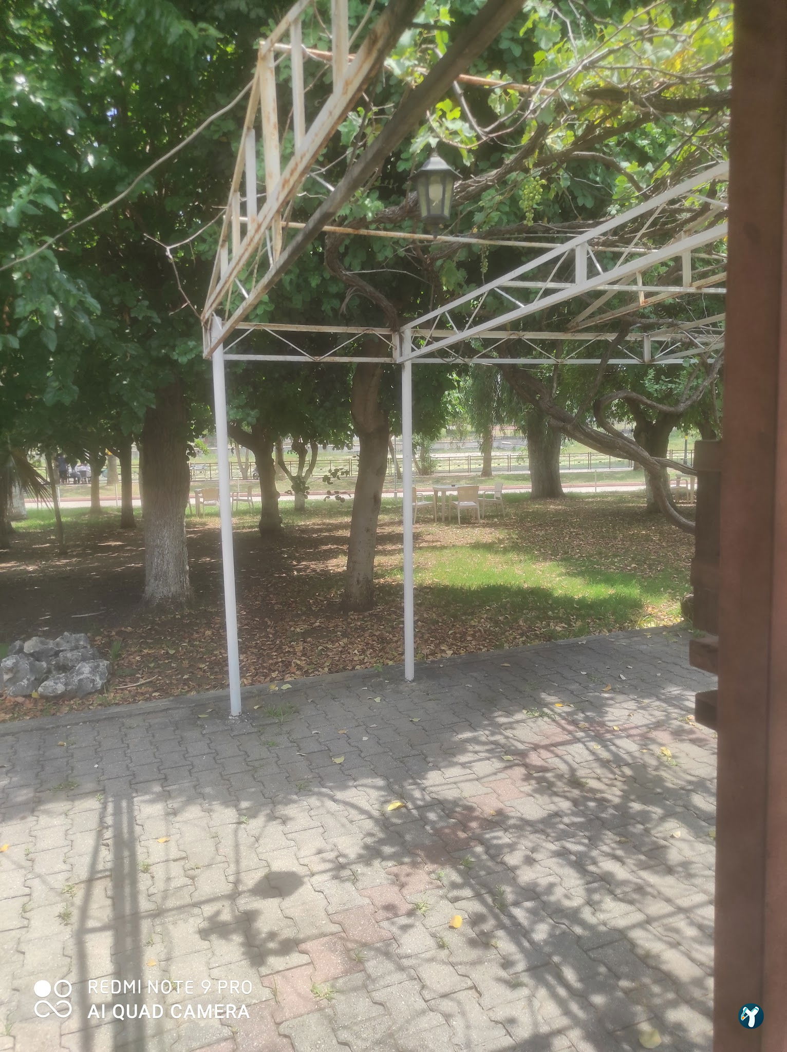 Emirgan Çay Bahçesi