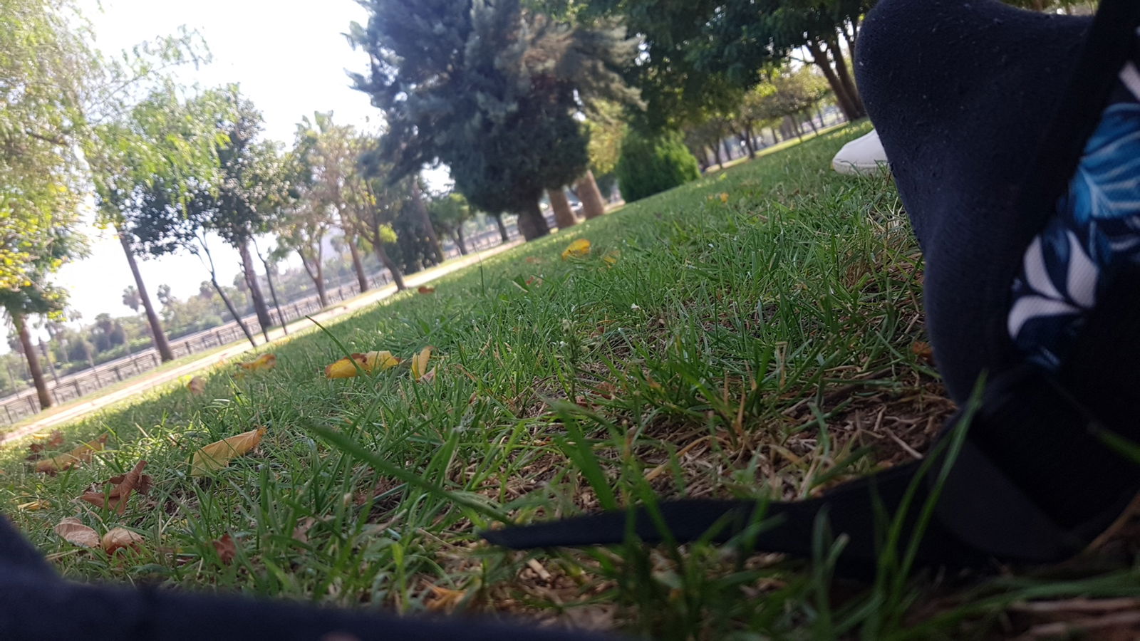 Emirgan Çay Bahçesi