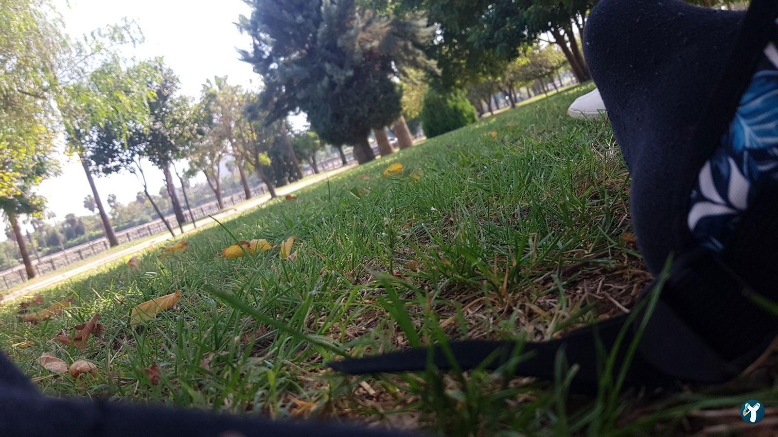 Emirgan Çay Bahçesi