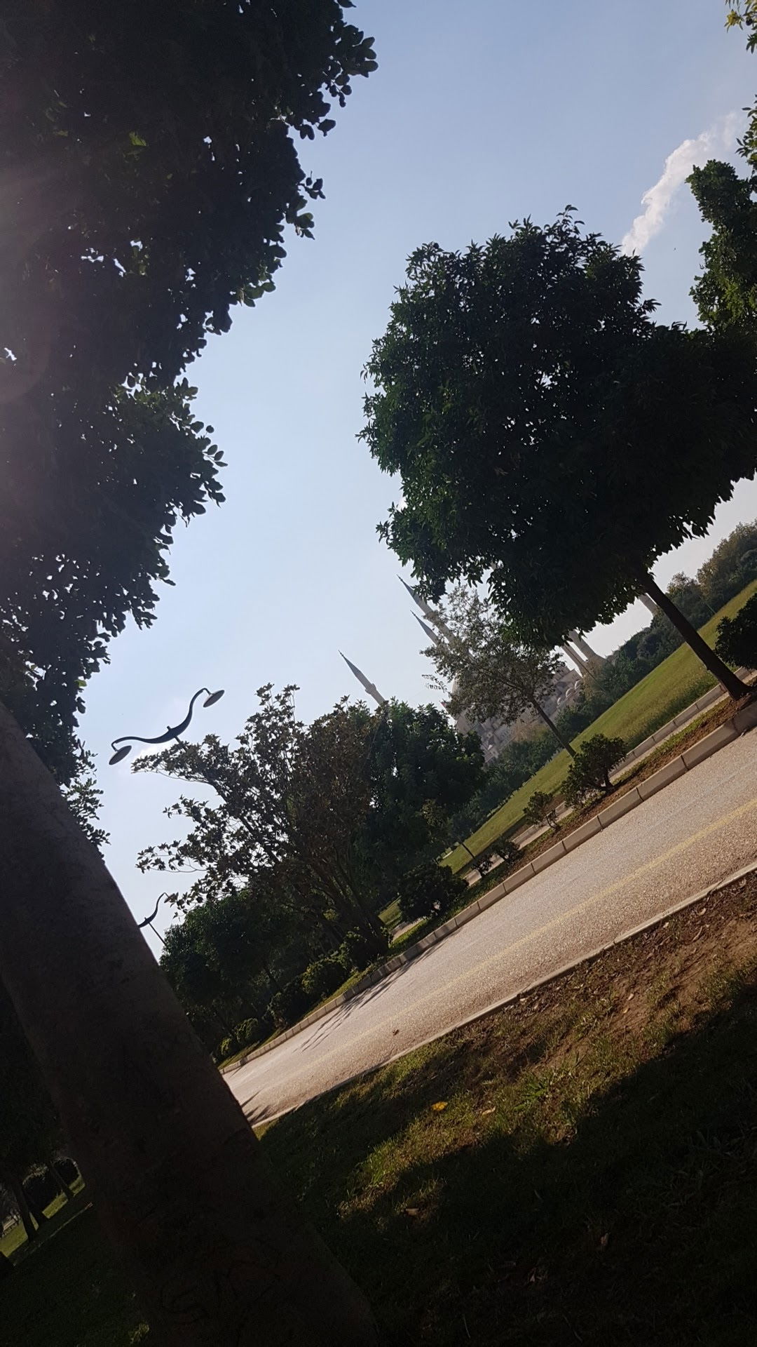 Emirgan Çay Bahçesi