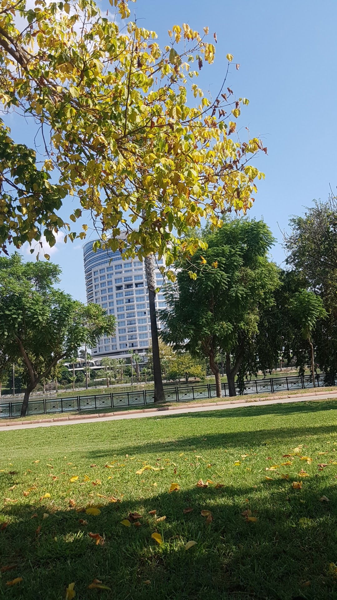 Emirgan Çay Bahçesi