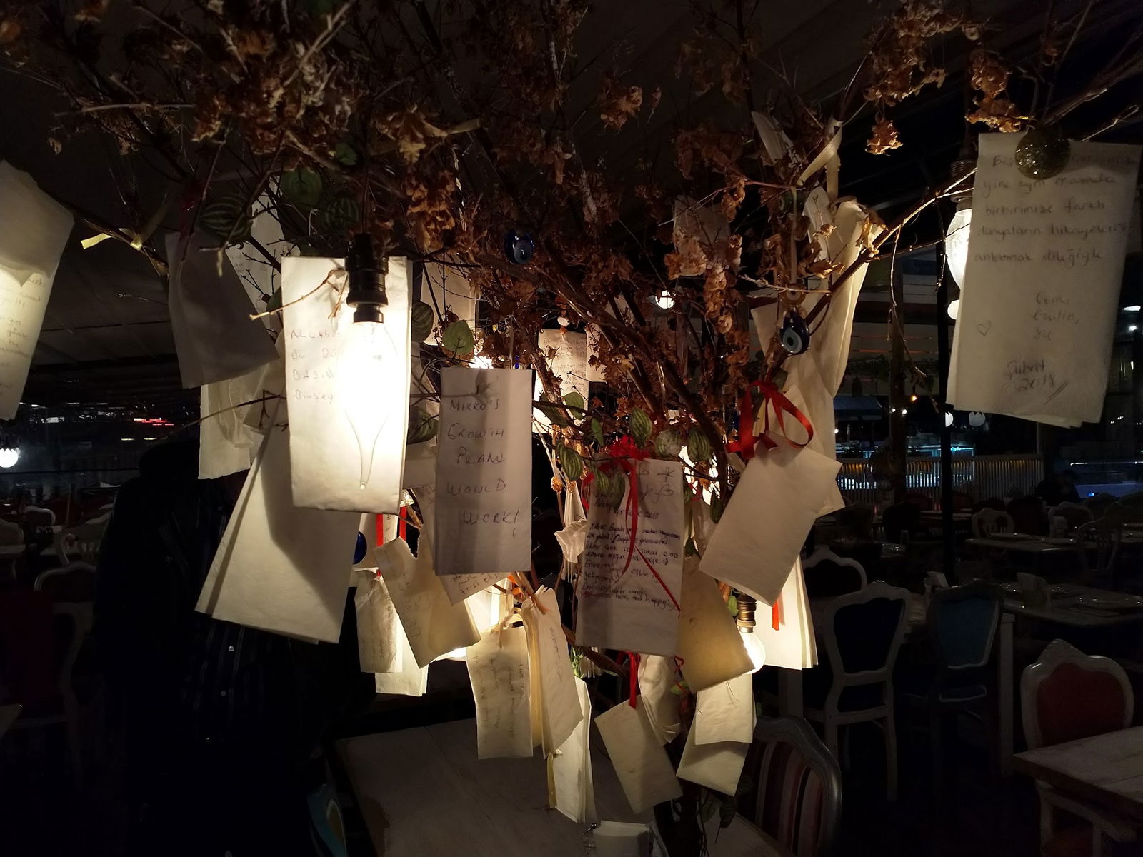 Bilkent Yengeç Station