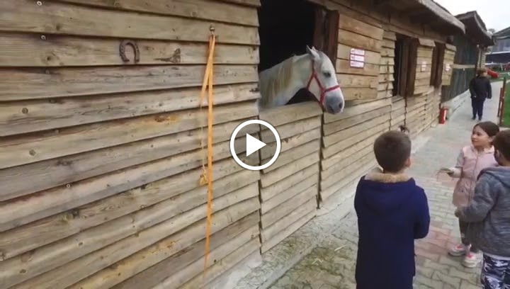 Teki̇roba Kir Düğünü & Restaurant