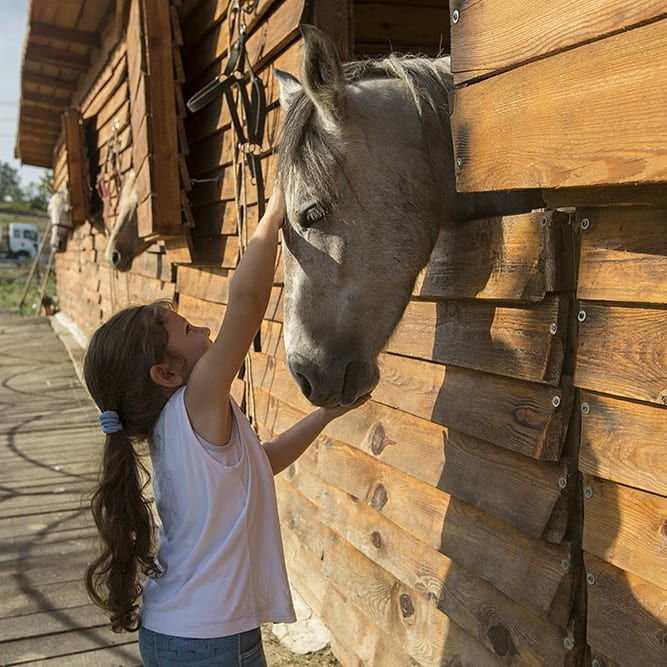 Teki̇roba Kir Düğünü & Restaurant