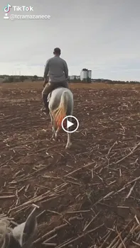 Teki̇roba Kir Düğünü & Restaurant resimleri