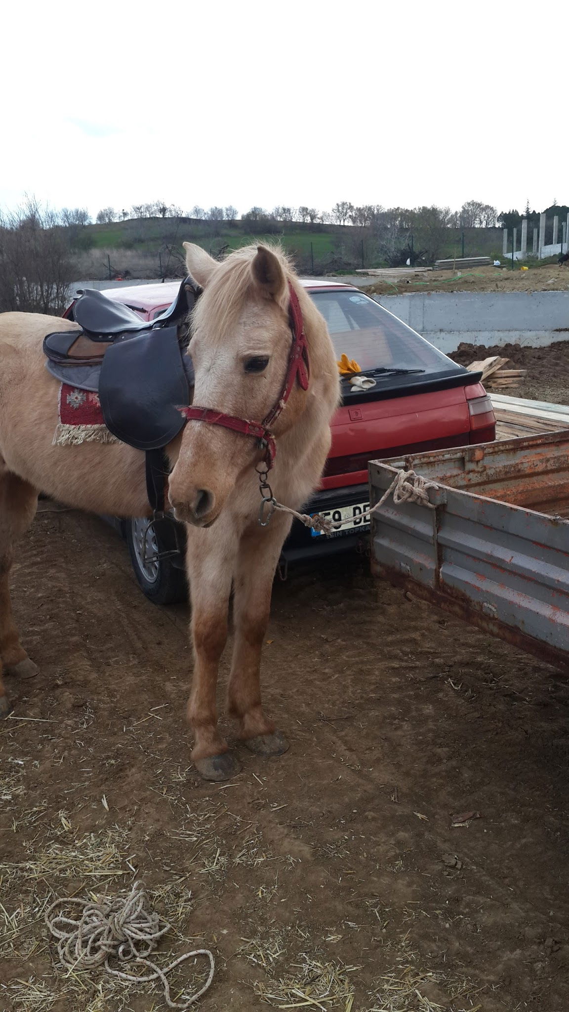 Teki̇roba Kir Düğünü & Restaurant