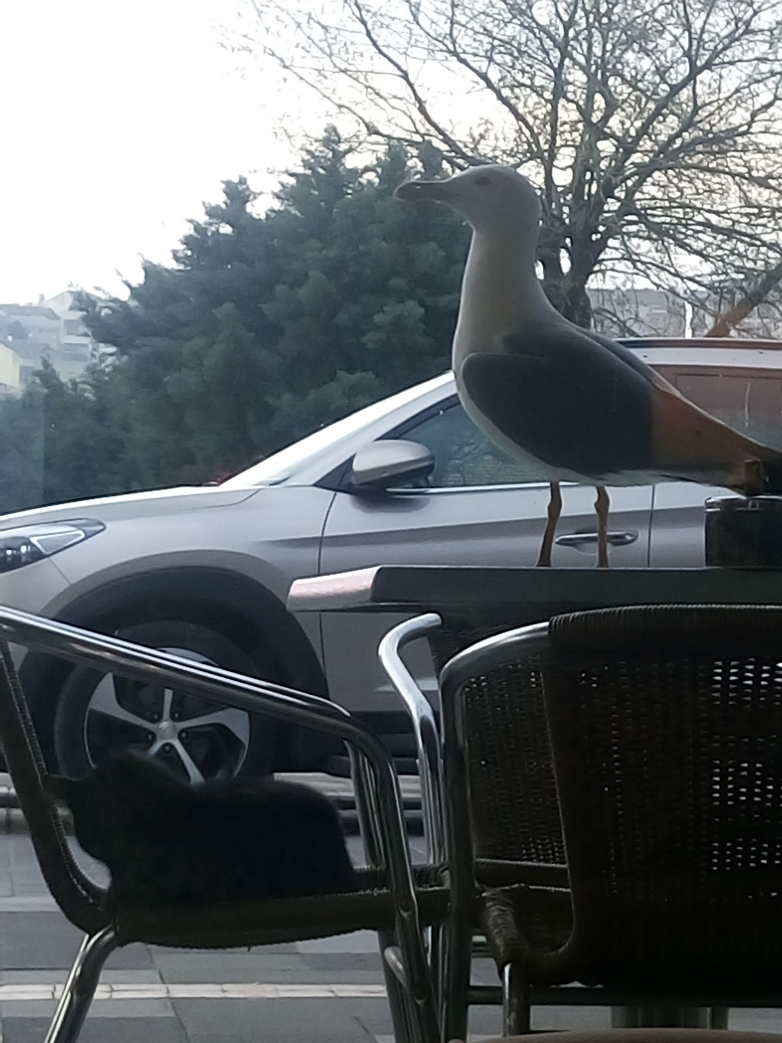 Karadeniz Pide Lahmacun