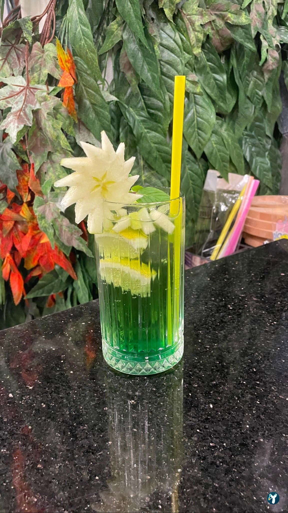 Kaktus Garden Cafe Restaurant